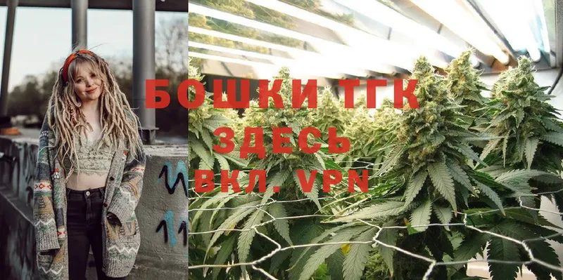 Конопля SATIVA & INDICA  где продают   Верхняя Тура 